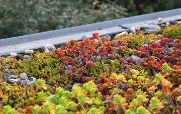 the cost of Kennerleigh green roof installation