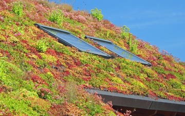 Kennerleigh living roof systems